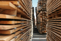 Softwood Lumber